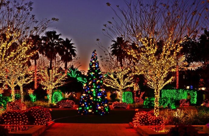 Holiday lighting Services-Hardscape Contractors of Wellington